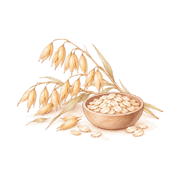 Illustration: hydrolysed oat protein