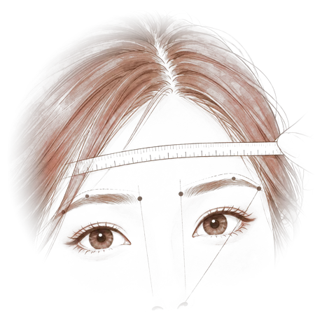 Illustration: a brow shape designed for you