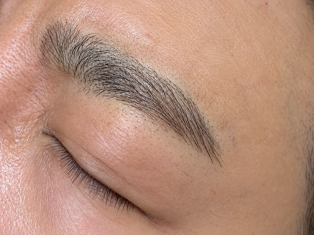Hairstroke brow reference: brow close-up