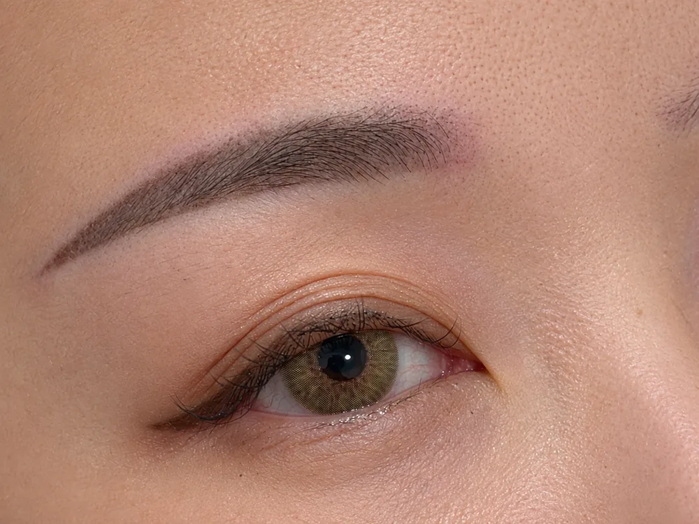 Ombre brow reference: brow close-up